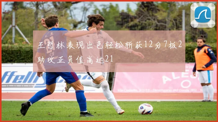 王哲林表现出色轻松斩获12分7板2助攻正负值高达21