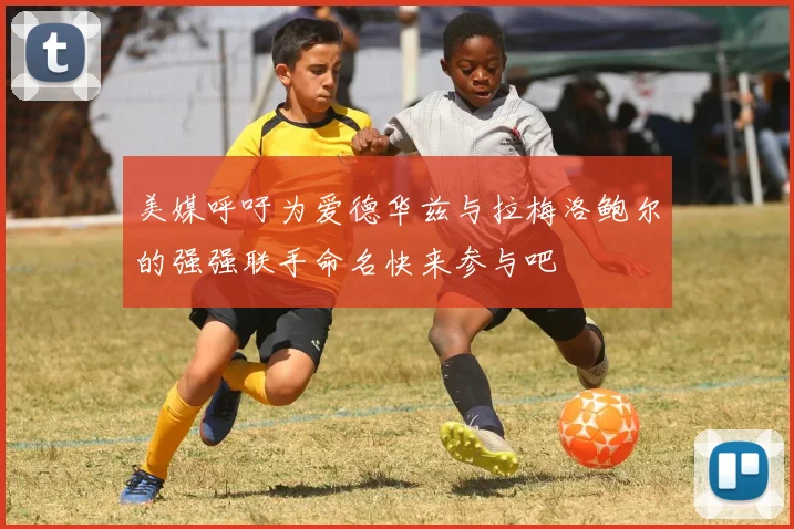 美媒呼吁为爱德华兹与拉梅洛鲍尔的强强联手命名快来参与吧