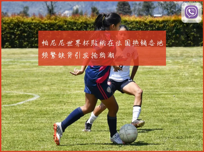 帕尼尼世界杯贴纸在法国热销各地频繁缺货引发抢购潮